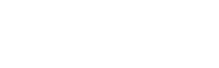 Jerone Davison for Congress WHITE Logo